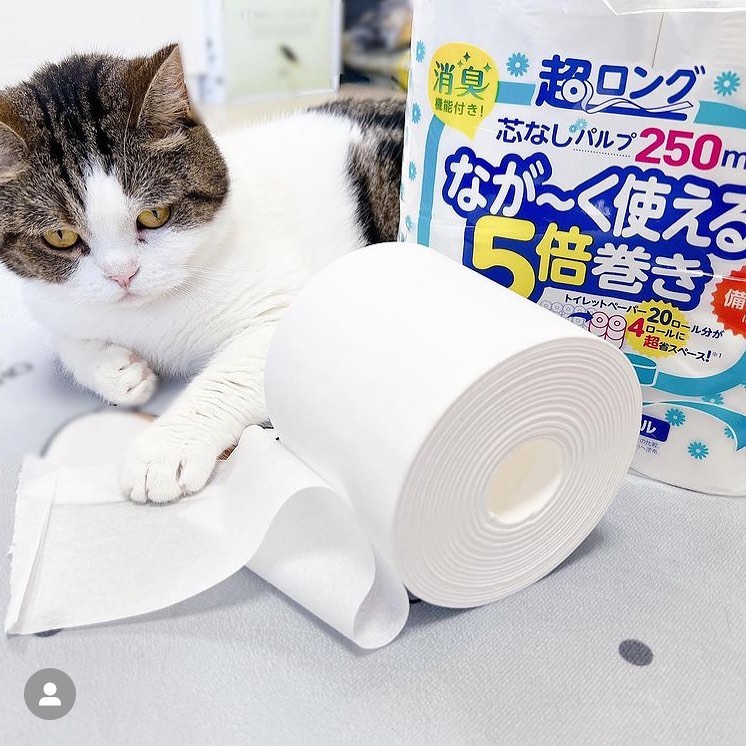ペンギン超ロング5倍巻きシリーズ | 丸富製紙株式会社